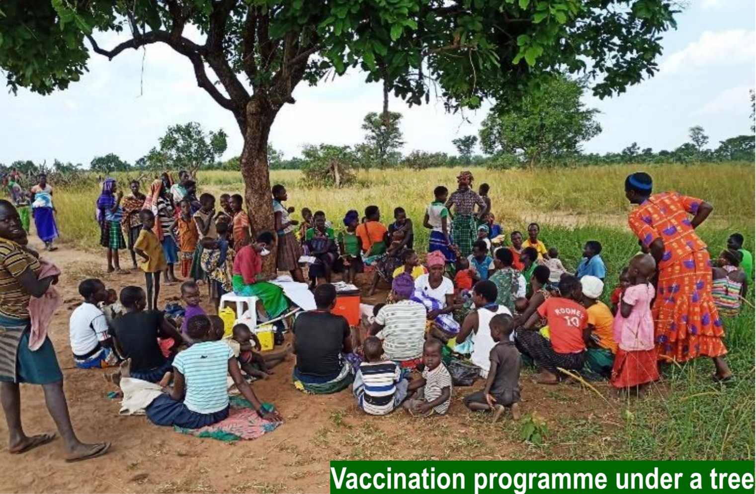 a community sits under a large mango tree to receive vaccinations