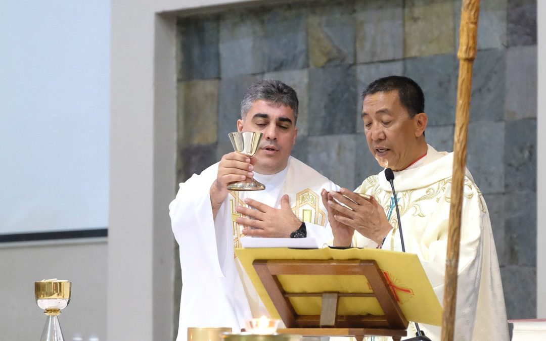 Meet a Missionary: Fr. David Domingues