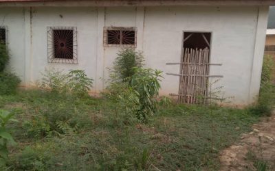 Rural Togo’s Only Clinic Faces Critical Renovation